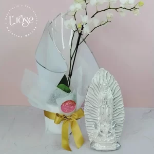 #354 Detalle de condolencia orquídea