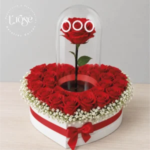 #243 Caja en forma de corazón con rosas y urna con rosa inmortalizada