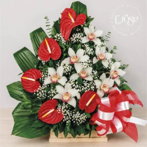 #244 Arreglo floral con anturios y orquídeas
