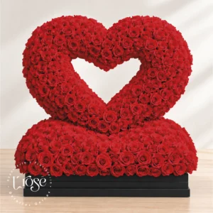 #489 Arreglo de rosas Gigante en forma de corazón