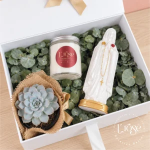 #492 Caja libro con virgen, vela, suculenta y cama de eucalipto