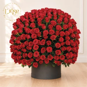 #377 Caja cilindro con rosas