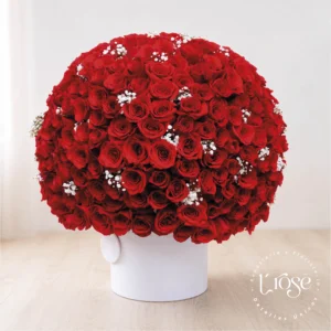 #381 Caja cilindro con rosas y yisofilia