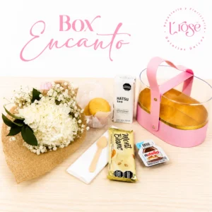 #598 Box Encanto