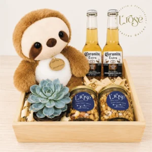 #579 Detalle Especial con Suculenta