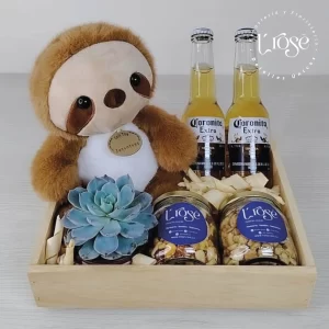 #579 Detalle Especial con Suculenta