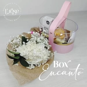 #598 Box Encanto