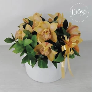 #572 Caja cilindro con Orquídeas